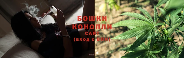 гашик Медногорск