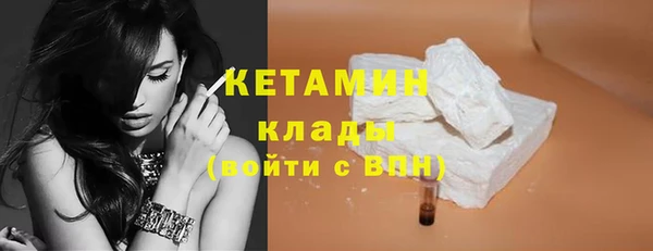 шишки Мегион