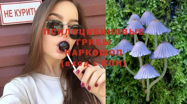 Альфа ПВП Медвежьегорск