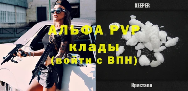 шишки Мегион