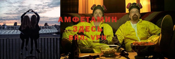 шишки Мегион