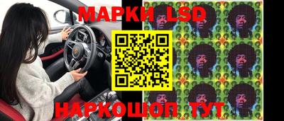 амф Гусев