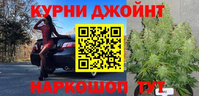 амф Гусев
