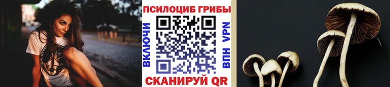 Псилоцибиновые грибы GOLDEN TEACHER закладка Петрозаводск