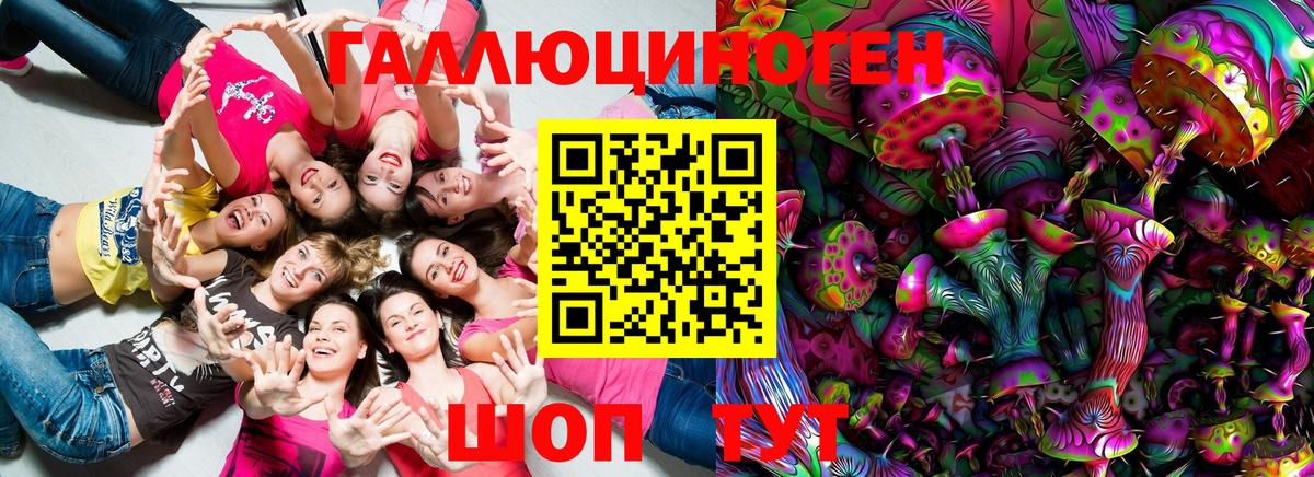 Псилоцибиновые грибы мицелий Петрозаводск