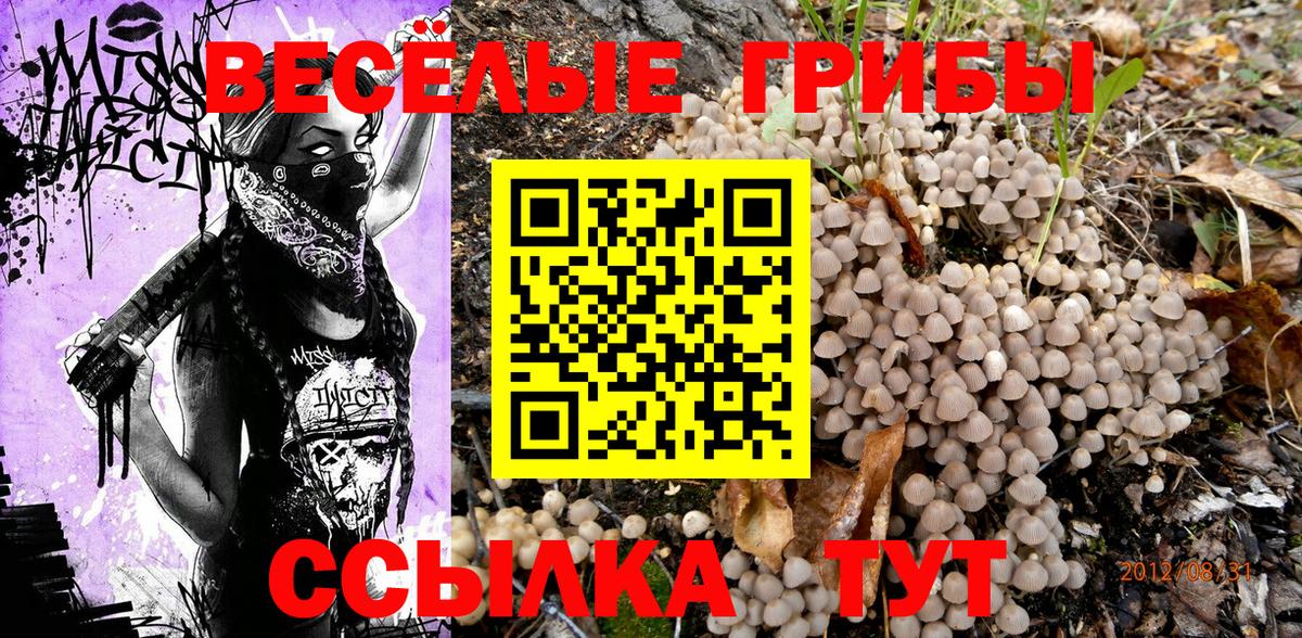 Псилоцибиновые грибы мицелий  хочу наркоту  Петрозаводск  Вход с VPN 