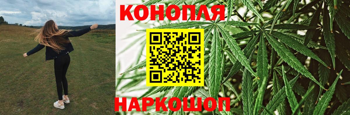 Петрозаводск  Каннабис гибрид  Канабис Amnesia  Шишки марихуана SATIVA & INDICA  Вход с VPN 